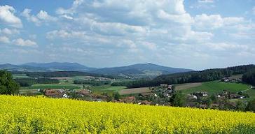 Blick ins Chambtal