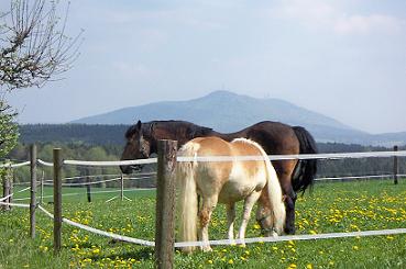 Blick zum Hohen Bogen