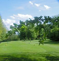 Golfplatz Furth im Wald