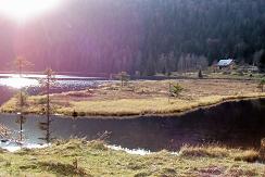 Kleiner Arbersee