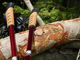 Rundwanderweg D�bersing